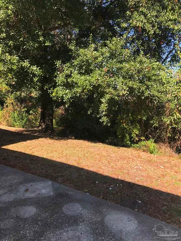 a view of backyard and wooden fence