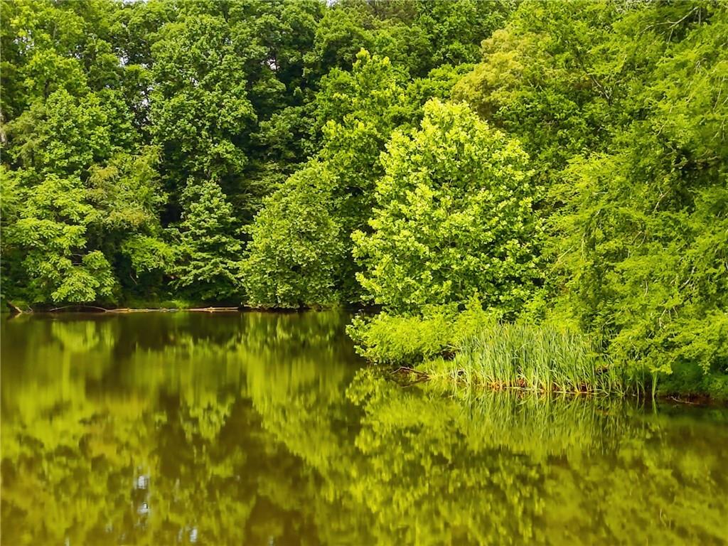 147 Fieldbrook Crossing Canton, GA 30115 - Photo 45 of 46 a view of a lake view