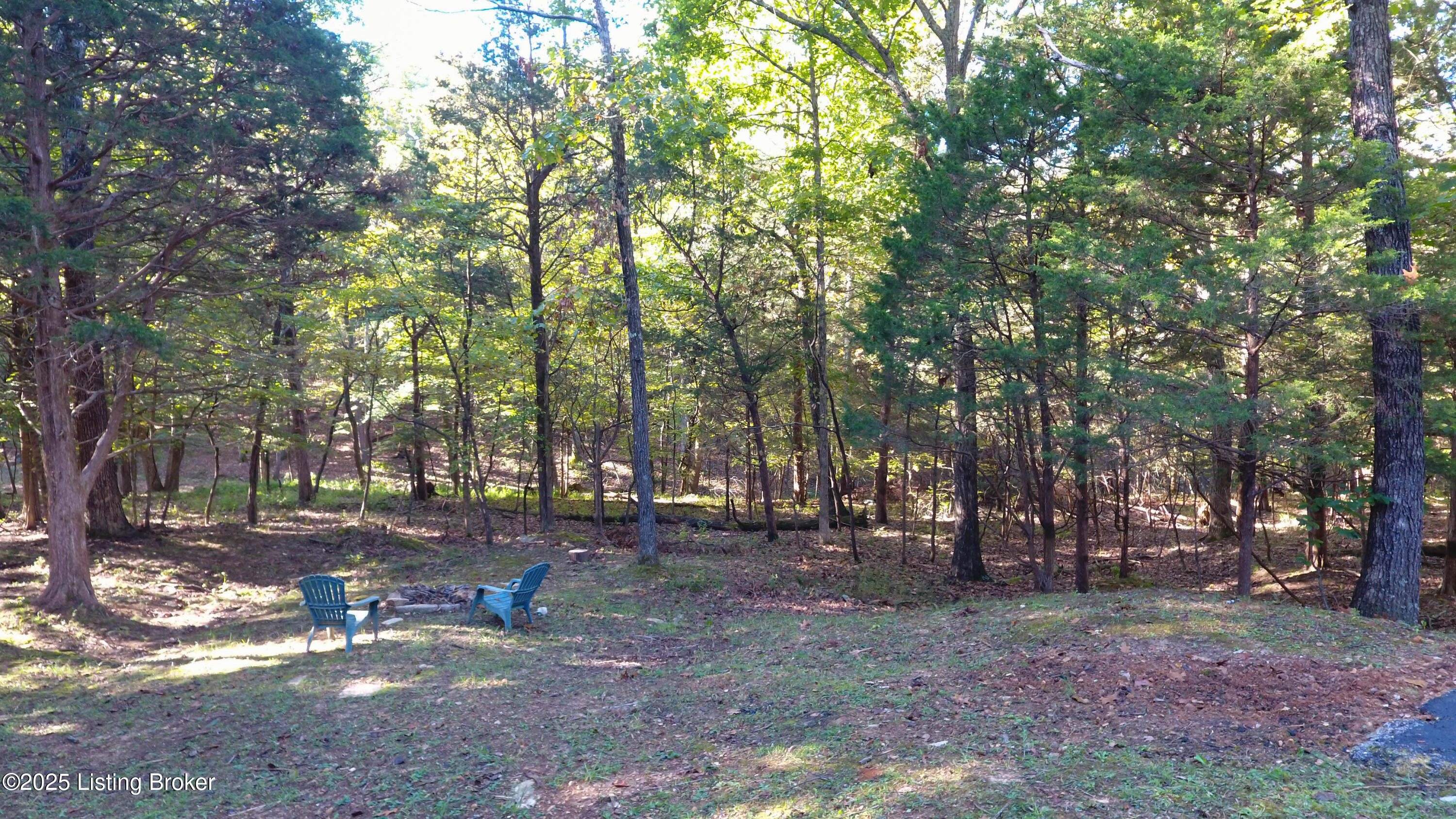 848 Long Needle Road Brandenburg, KY 40108 - Photo 13 of 57 DJI_0016