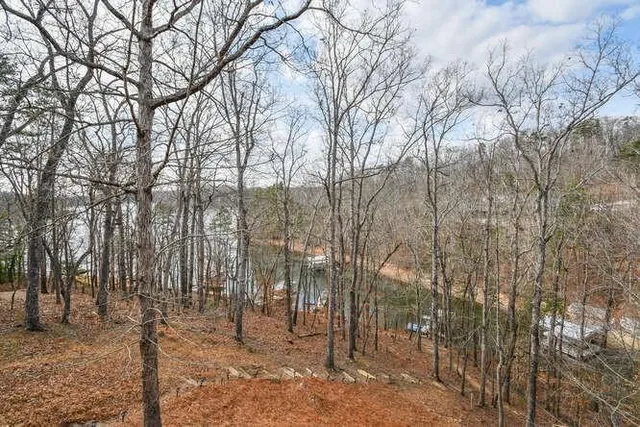 a view of a forest filled with trees