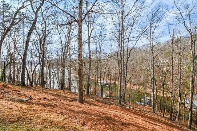 a view of a yard with trees