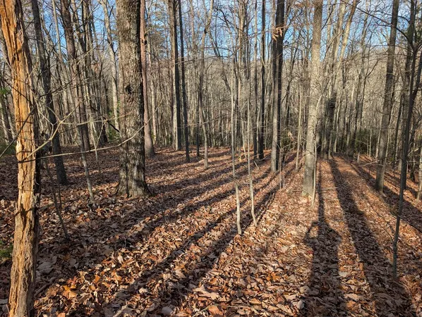 $30,000 | Lot 20 Wilderness Creek Way, Murphy, NC 28906