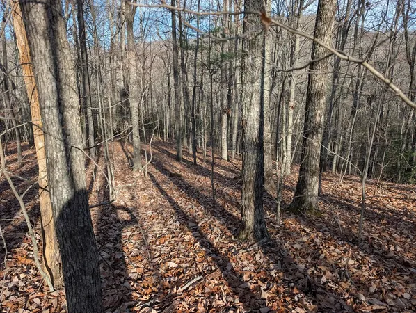 $30,000 | Lot 20 Wilderness Creek Way, Murphy, NC 28906