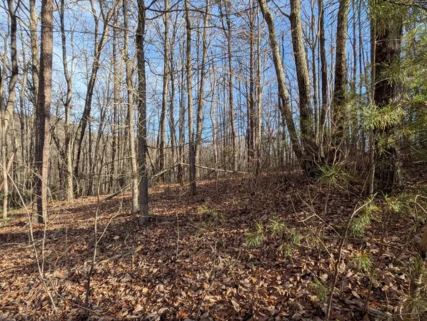 $30,000 | Lot 20 Wilderness Creek Way, Murphy, NC 28906