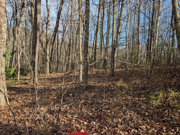 $30,000 | Lot 20 Wilderness Creek Way, Murphy, NC 28906