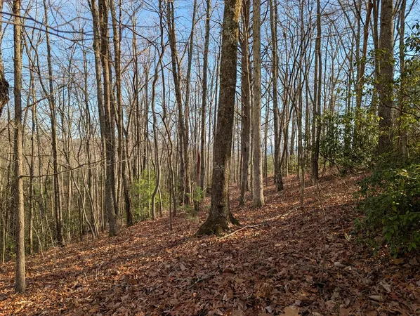 $30,000 | Lot 20 Wilderness Creek Way, Murphy, NC 28906