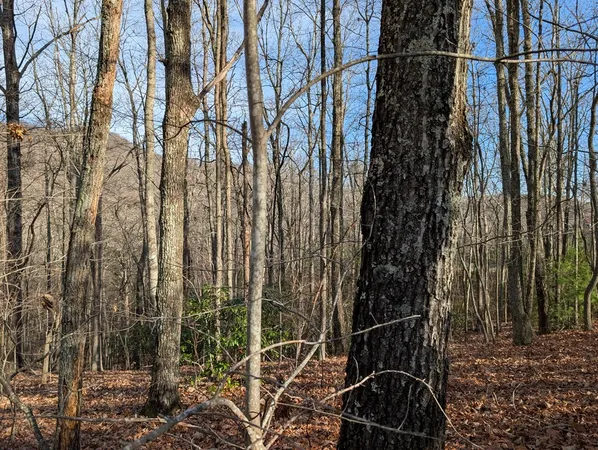 $30,000 | Lot 20 Wilderness Creek Way, Murphy, NC 28906