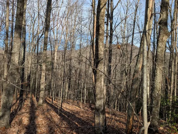 $30,000 | Lot 20 Wilderness Creek Way, Murphy, NC 28906