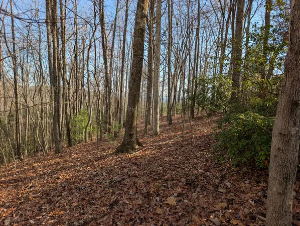 $30,000 | Lot 20 Wilderness Creek Way, Murphy, NC 28906