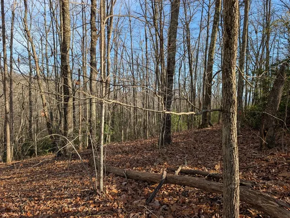 $30,000 | Lot 20 Wilderness Creek Way, Murphy, NC 28906