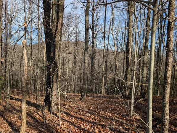 $30,000 | Lot 20 Wilderness Creek Way, Murphy, NC 28906