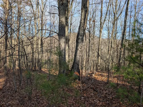 $30,000 | Lot 20 Wilderness Creek Way, Murphy, NC 28906