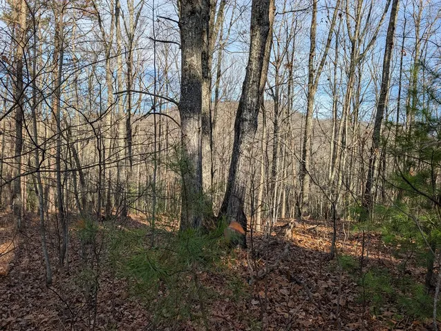 $35,000 | Lot 20 Wilderness Creek Way, Murphy, NC 28906
