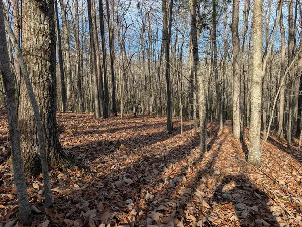 $30,000 | Lot 20 Wilderness Creek Way, Murphy, NC 28906