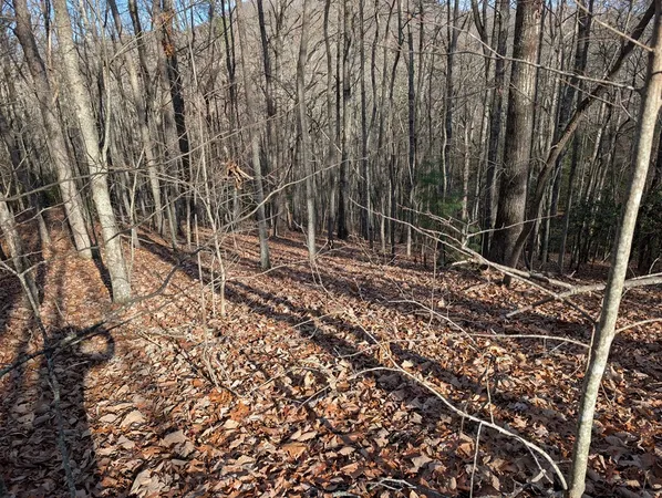 $30,000 | Lot 20 Wilderness Creek Way, Murphy, NC 28906