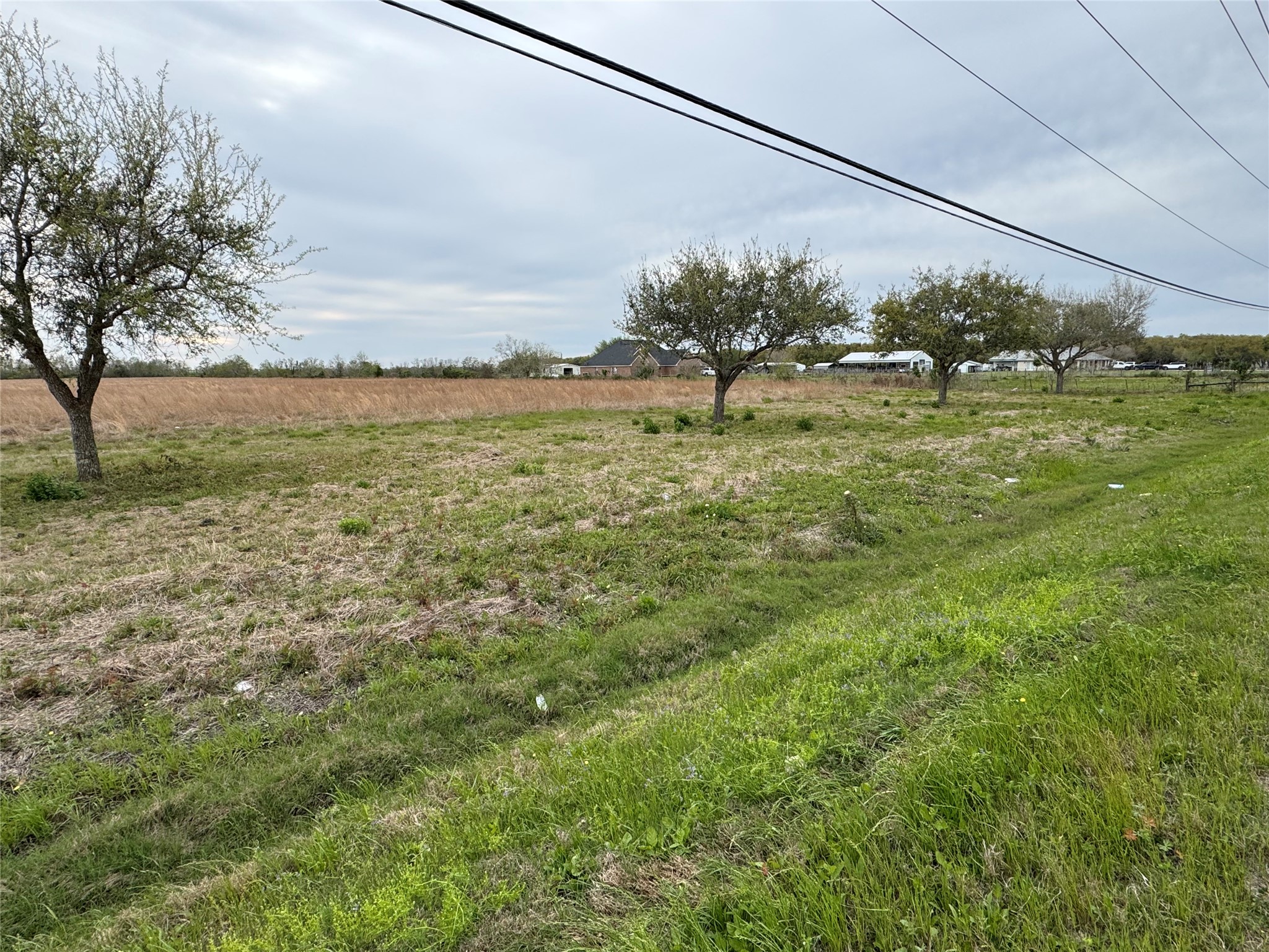 3 County Road 46 Angleton, TX 77515 - Photo 6 of 14