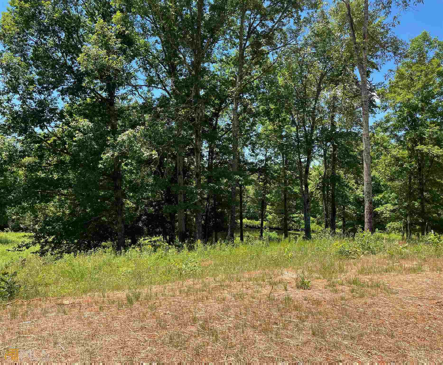 0 Sautee View, Unit TRACT 5 Clarkesville, GA 30523 - Photo 1 of 1 Gallery Image 1