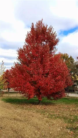 $285,000 | 13500 Pioneer Drive, Bonner Springs, KS 66012