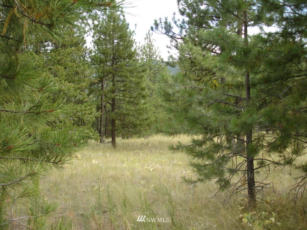 352829-3011 Tedrow Trail Riverside, WA 98849 - Photo 1 of 1 Gallery Image 1