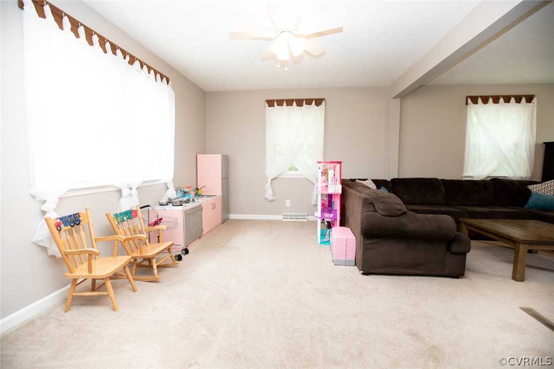 801 Milnwood Road Farmville, VA 23901 - Photo 16 of 48 Gallery Image 16