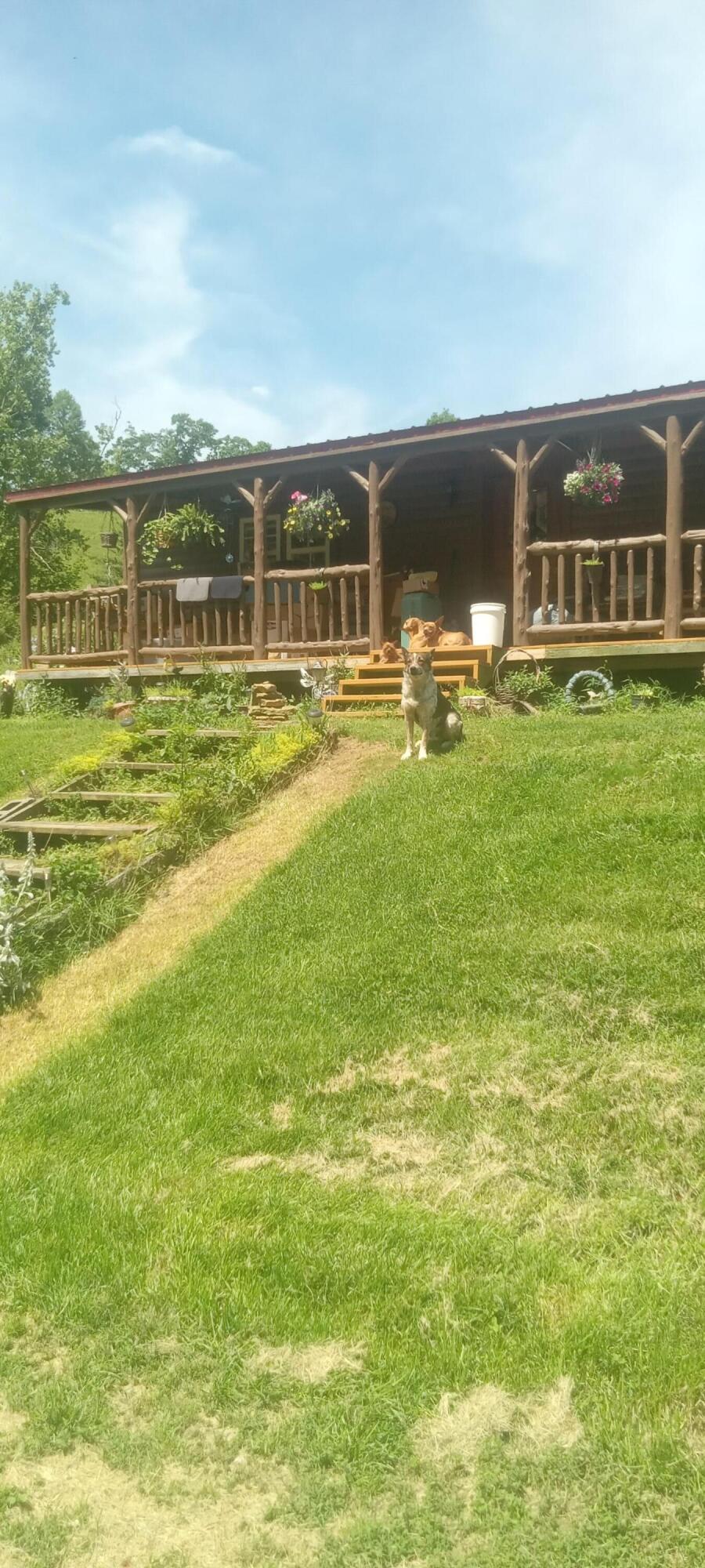 892 Pryse Road Booneville, KY 41314 - Photo 1 of 28 1000005369