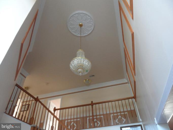 6152 Cobbs Road Alexandria, VA 22310 - Photo 19 of 21 Interior (General)