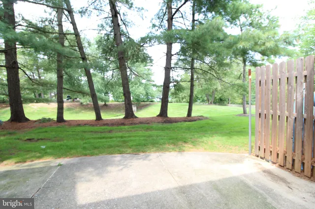 a view of yard with tree