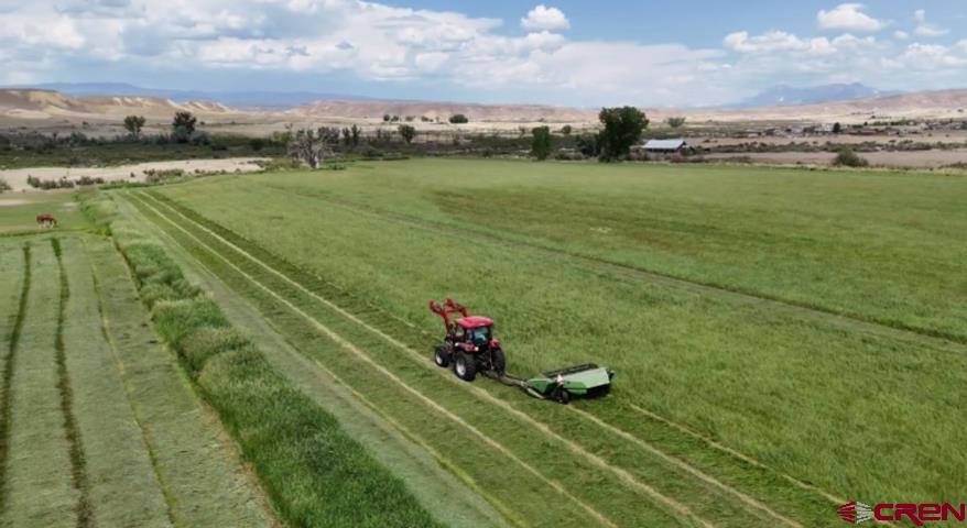 20753 G Road Delta, CO 81416 - Photo 4 of 45