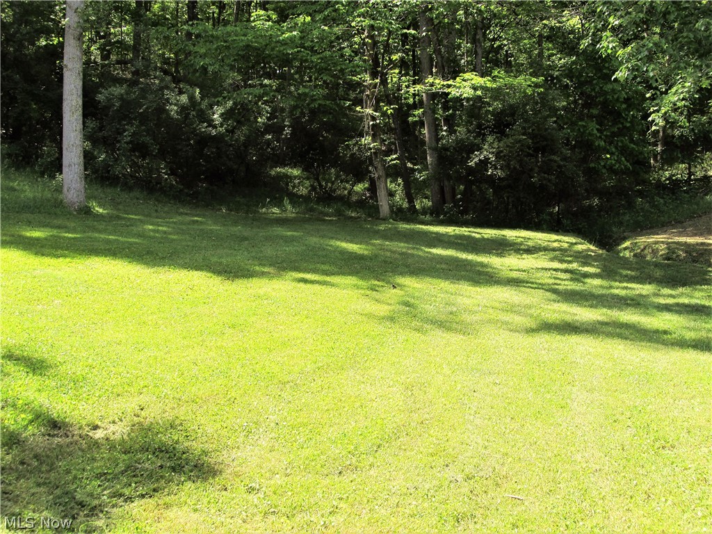 413 Lick Run Road Walker, WV 26180 - Photo 27 of 35