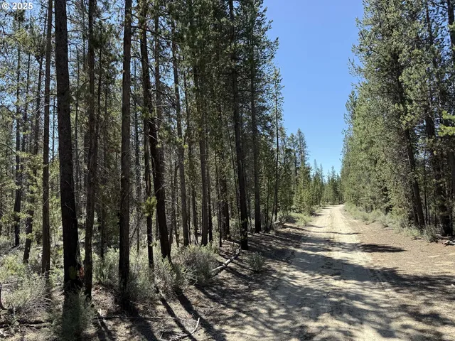 a view of covered with trees
