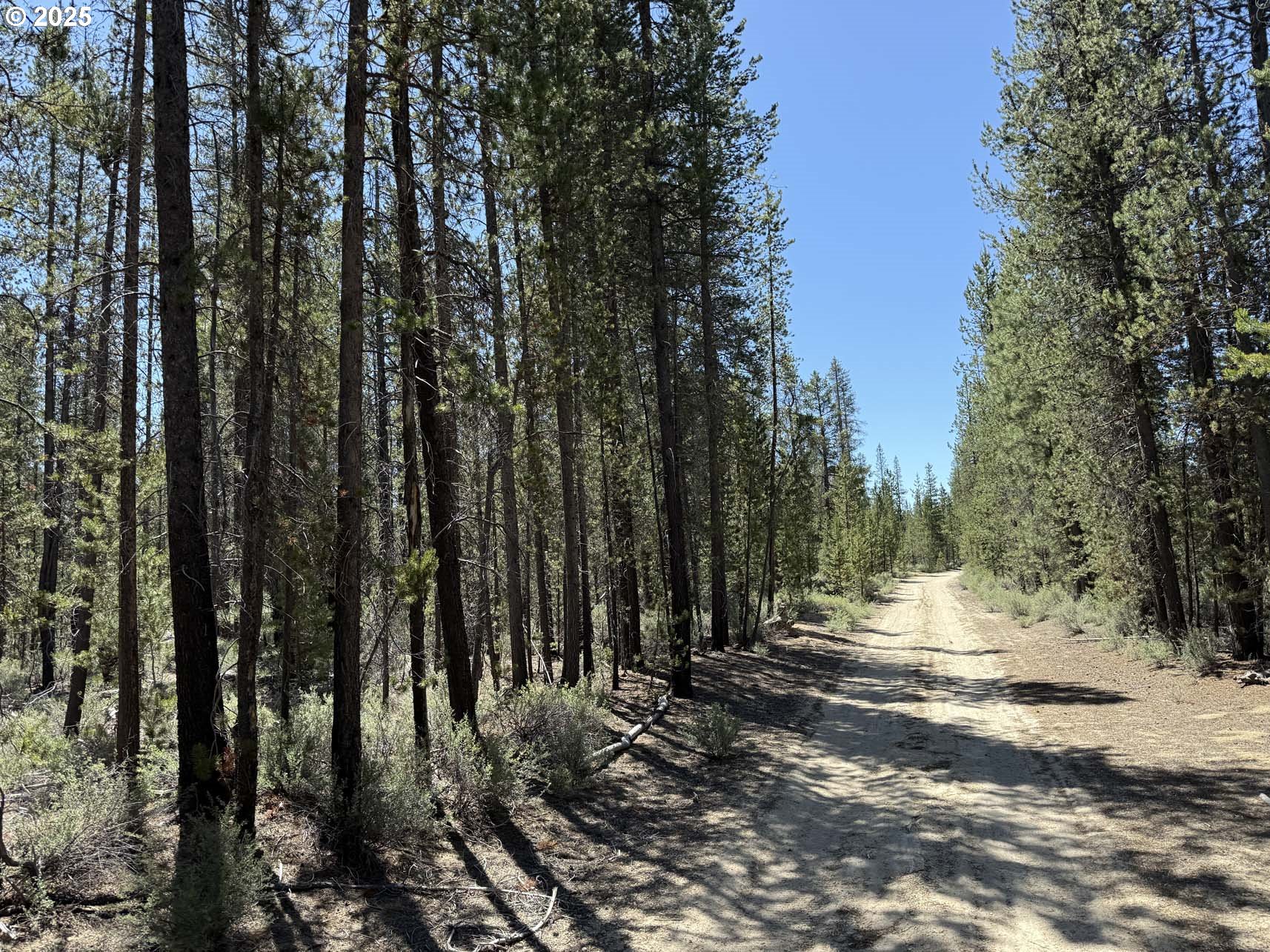 a view of covered with trees