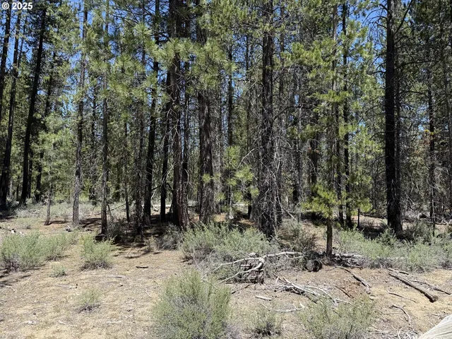 a view of a green field