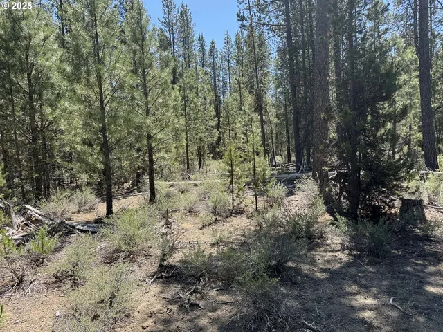 a view of outdoor space with lots of trees