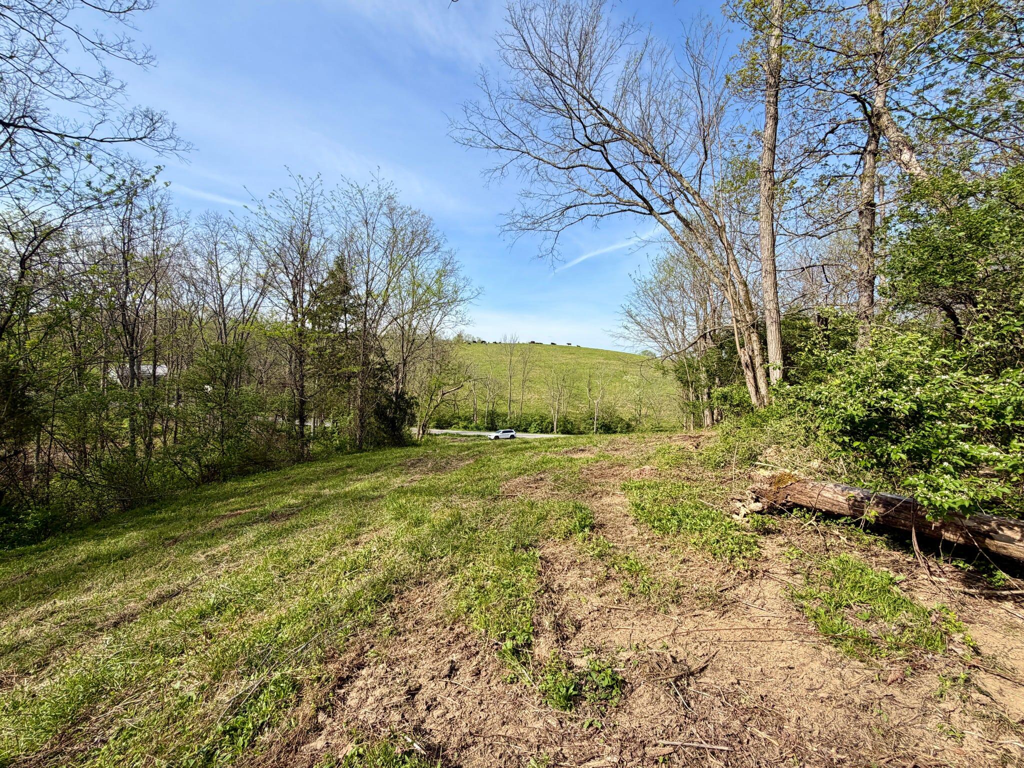 24 East Union Road Carlisle, KY 40311 - Photo 6 of 52 Clearing