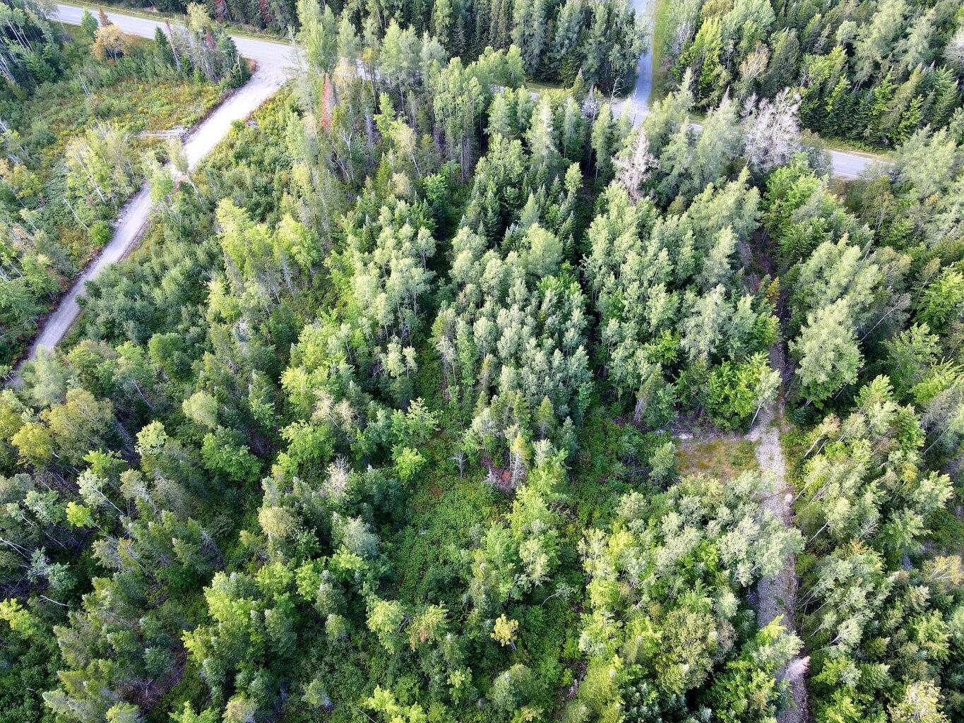 L37-72 Beaulieu Road Caribou, ME 04736 - Photo 2 of 4