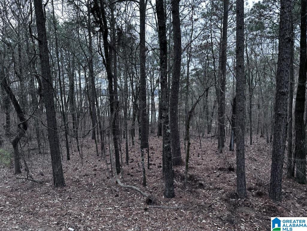 Lot 5 Constellation Avenue, Unit 5 Alpine, AL 35014 - Photo 5 of 16