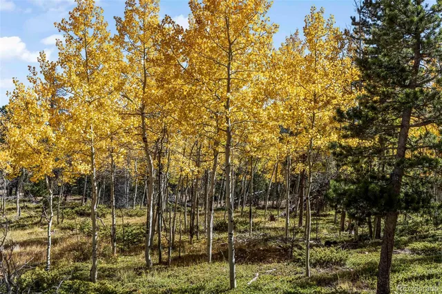 $185,000 | 719 Miners Candle Road, Idaho Springs, CO 80452