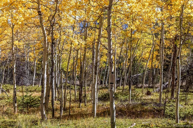 $185,000 | 719 Miners Candle Road, Idaho Springs, CO 80452