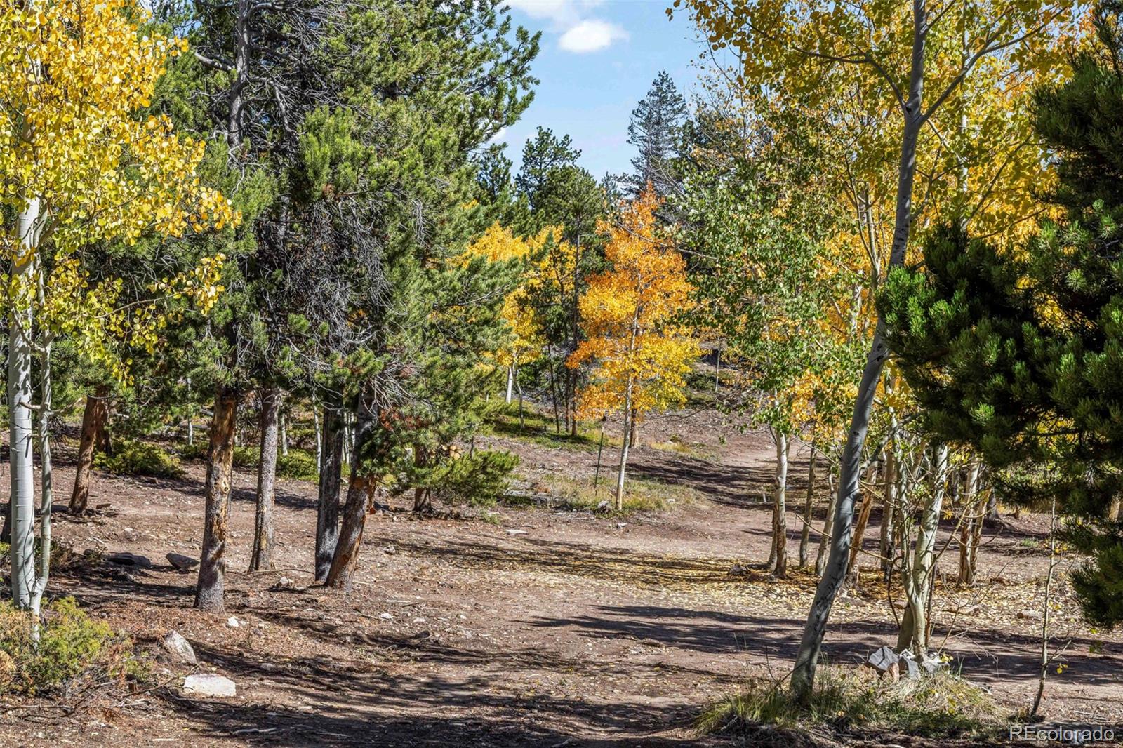 719 Miners Candle Road Idaho Springs, CO 80452 - Photo 44 of 50