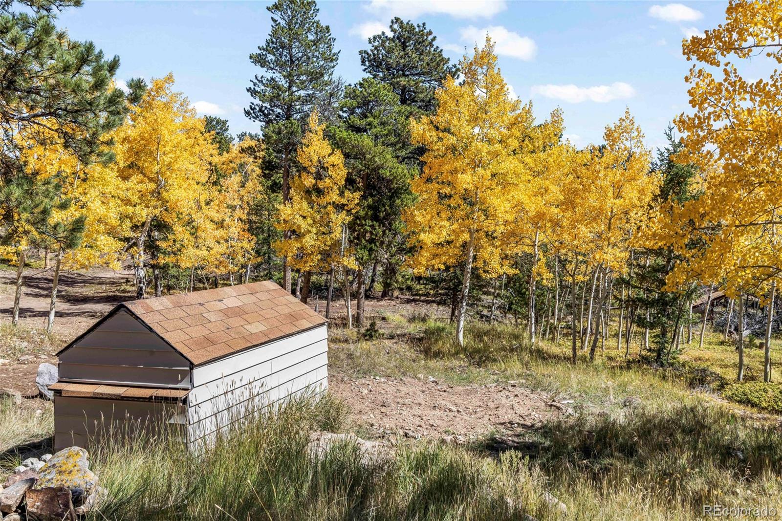 719 Miners Candle Road Idaho Springs, CO 80452 - Photo 45 of 50 a backyard of a house with lots of green space