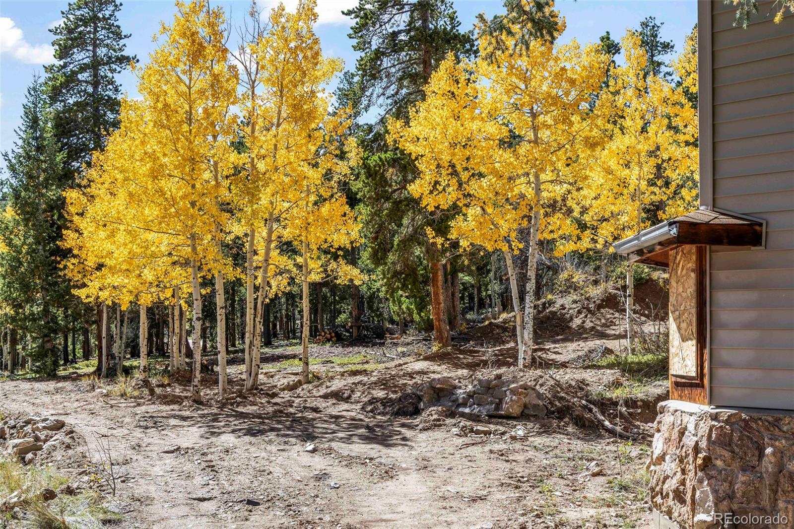 719 Miners Candle Road Idaho Springs, CO 80452 - Photo 46 of 50 a backyard of a house with lots of green space