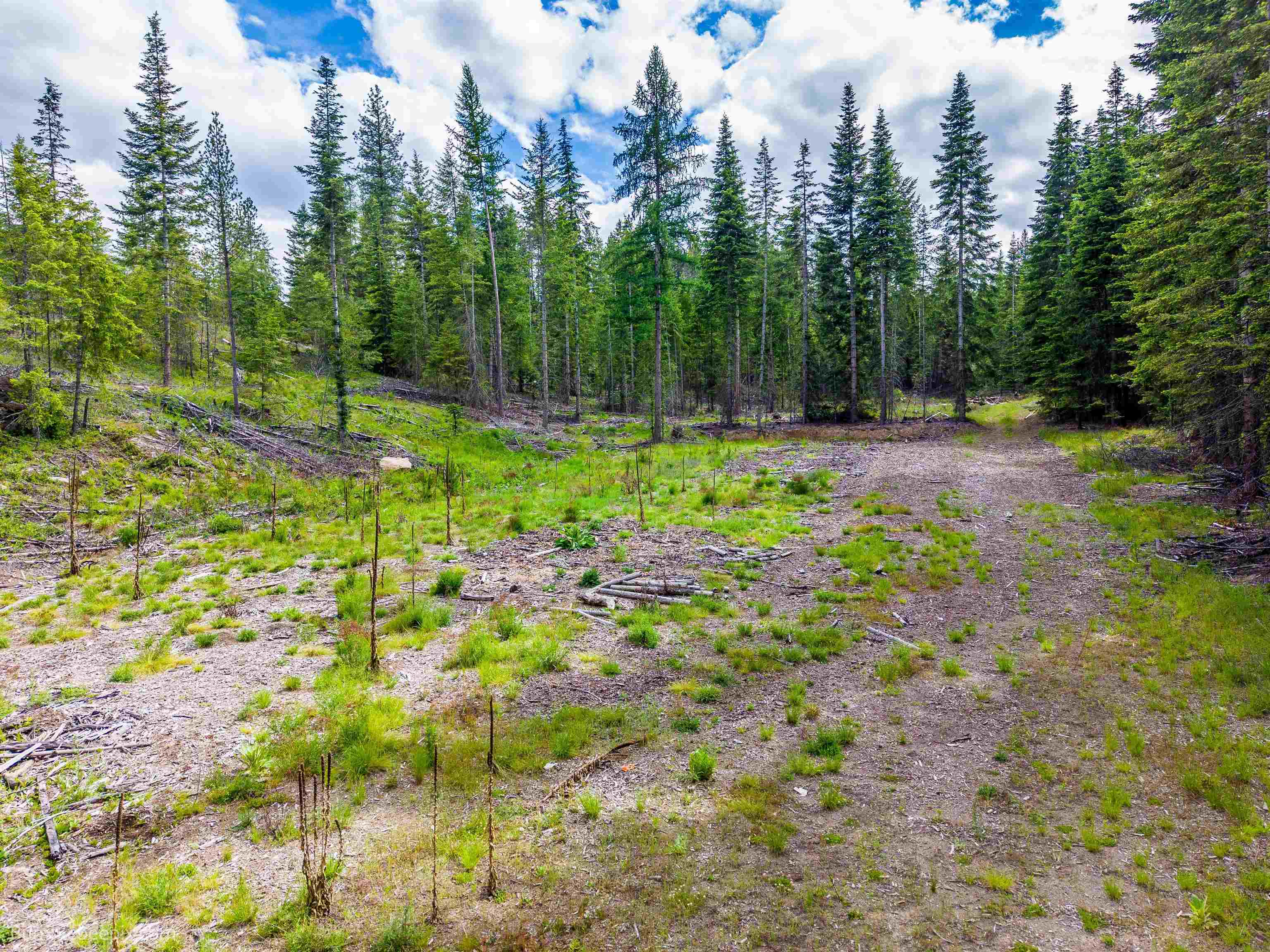 2902 Spring Valley Road Newport, WA 99156 - Photo 41 of 45
