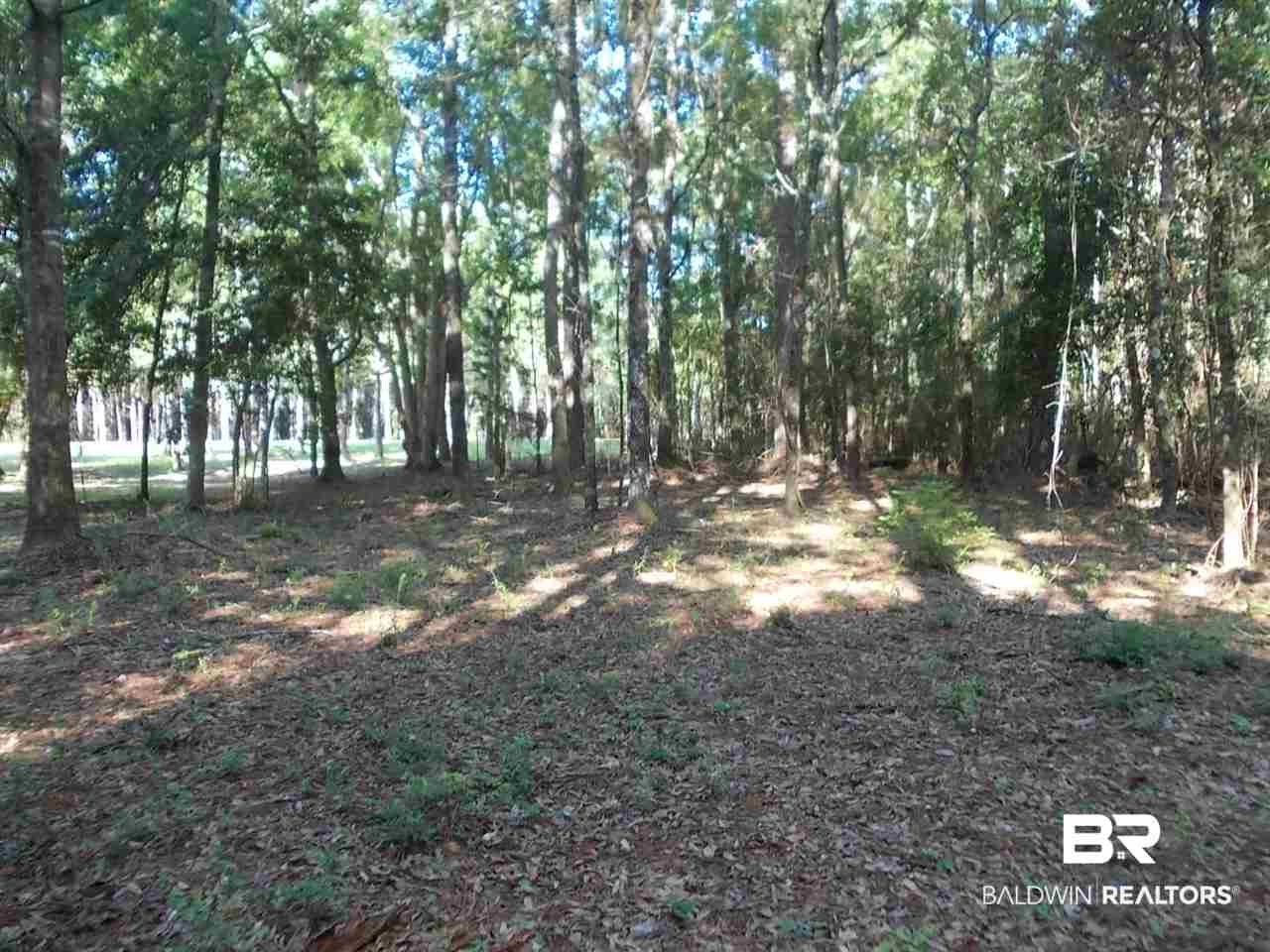 0 Ernest Patterson Road Robertsdale, AL 36567 - Photo 13 of 14