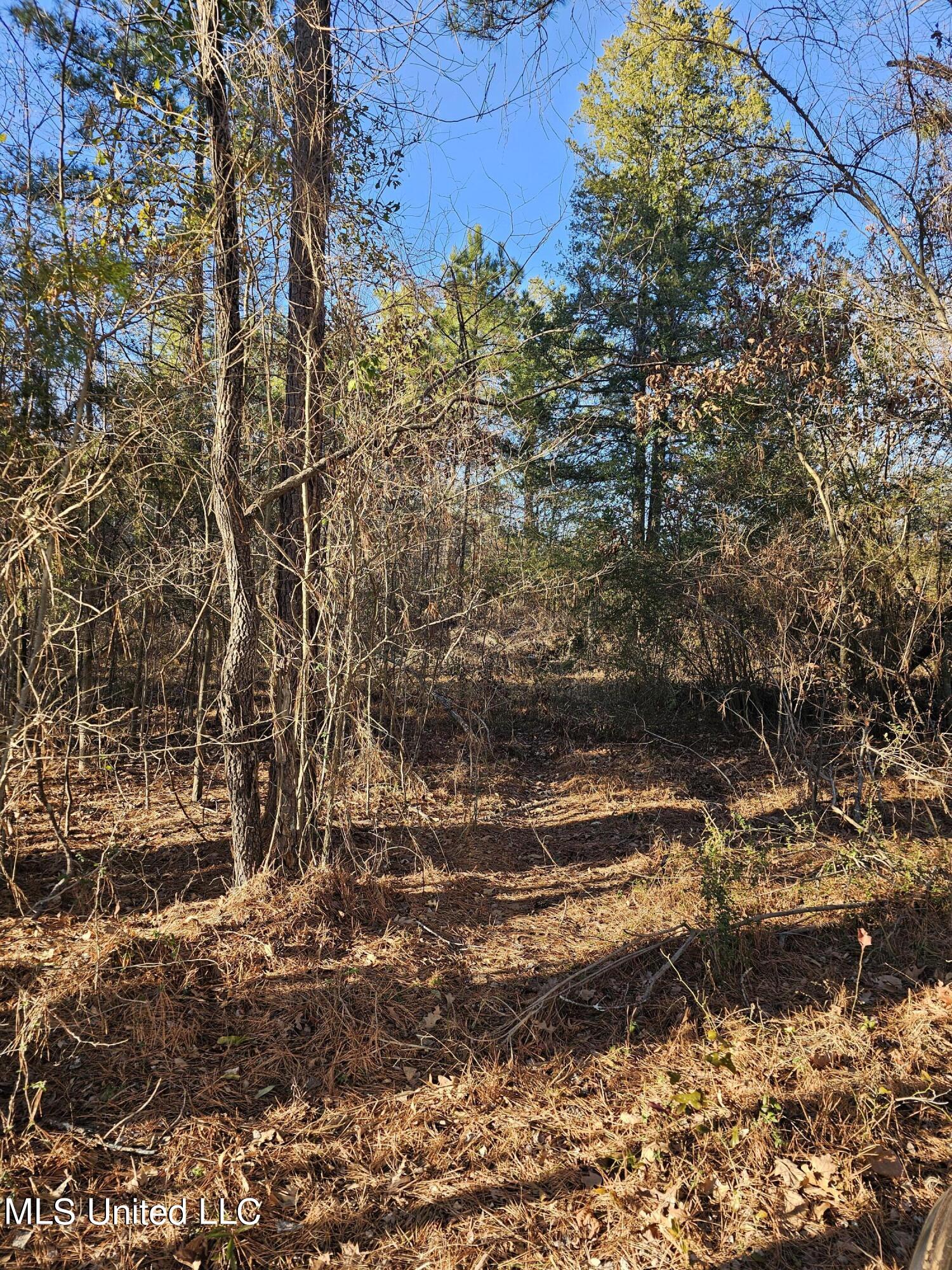 262 Pinegrove Road Canton, MS 39046 - Photo 3 of 6 20240117_160145