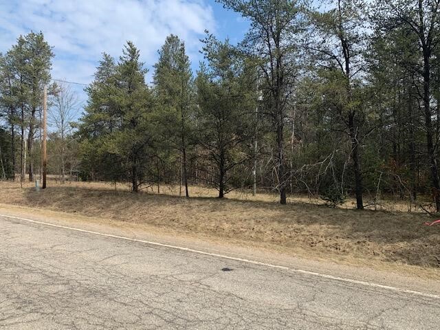 4 North West Countyline Road Pierson, MI 49339 - Photo 1 of 3