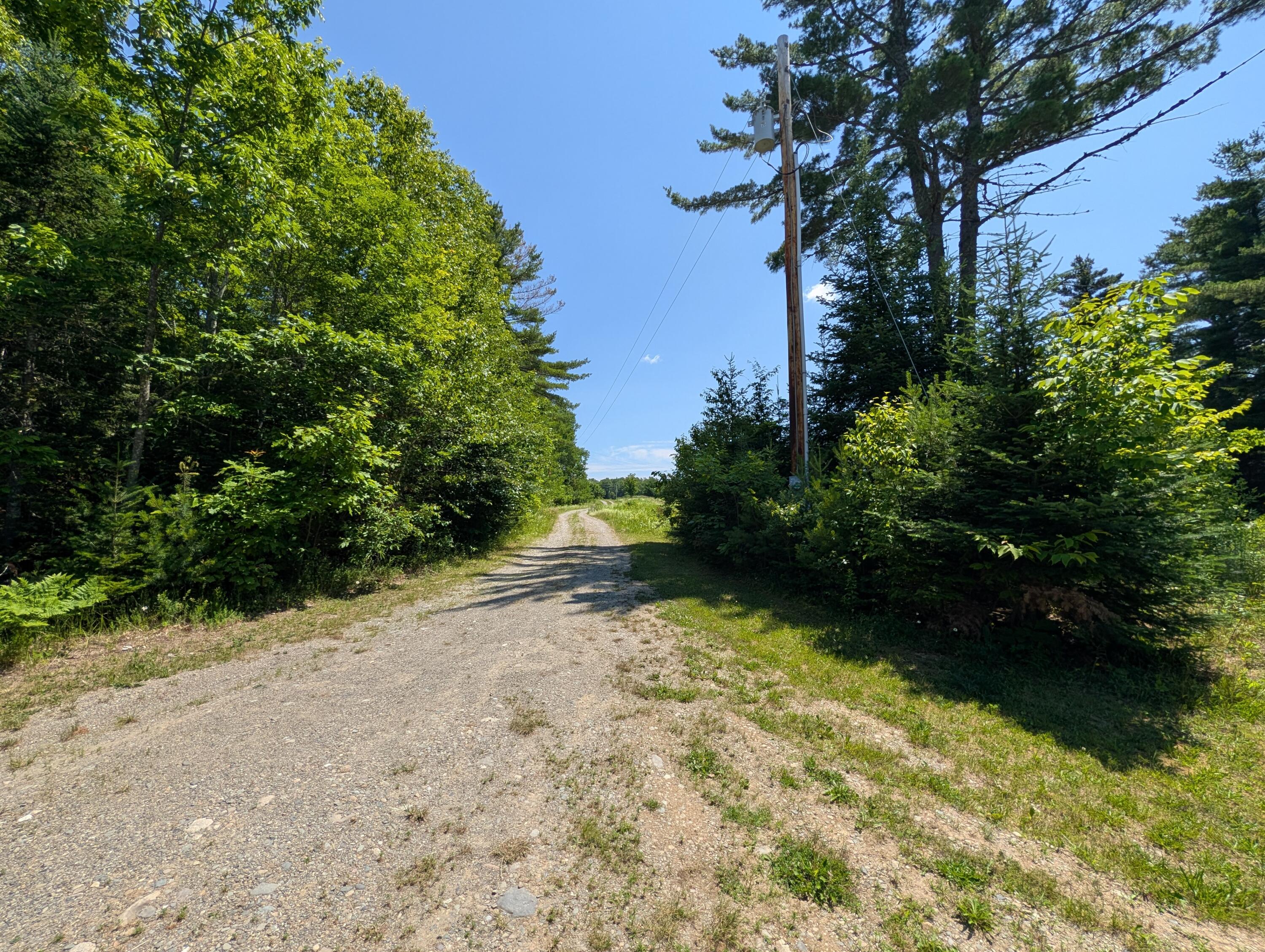 Off Osgood Road Springfield, ME 04487 - Photo 8 of 32 849