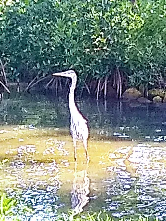 $2,600 | 200 South Banana River Boulevard, Unit 2310, Cocoa Beach, FL 32931