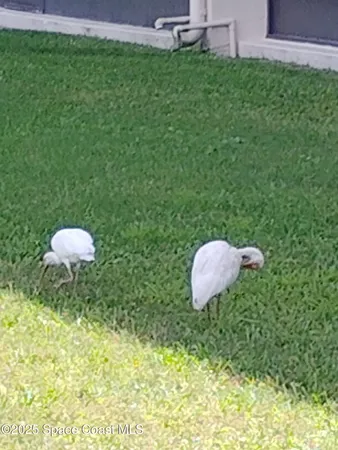 $2,600 | 200 South Banana River Boulevard, Unit 2310, Cocoa Beach, FL 32931