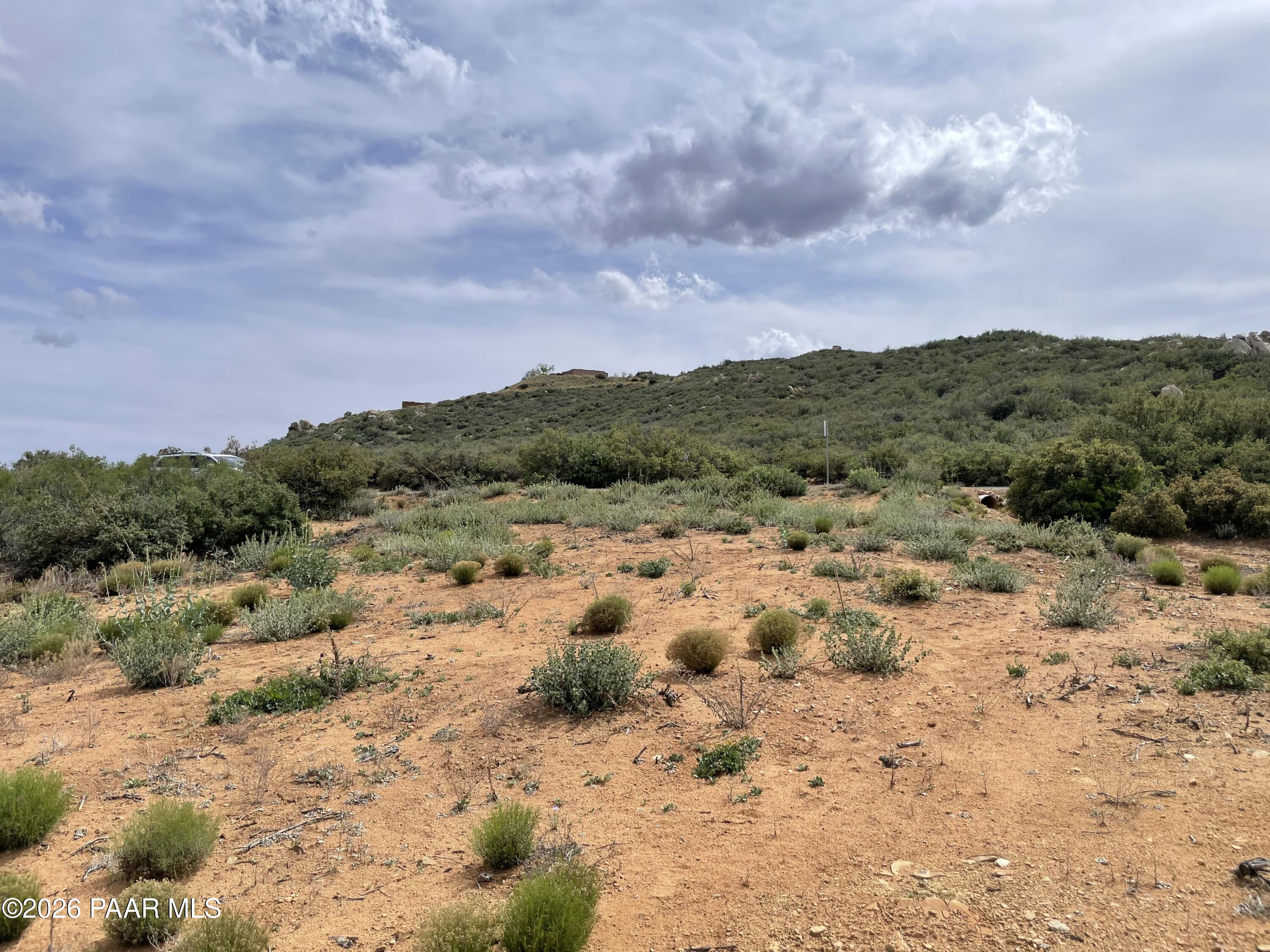 0 East True Grit Road Dewey, AZ 86327 - Photo 2 of 9 a view of a covered with trees