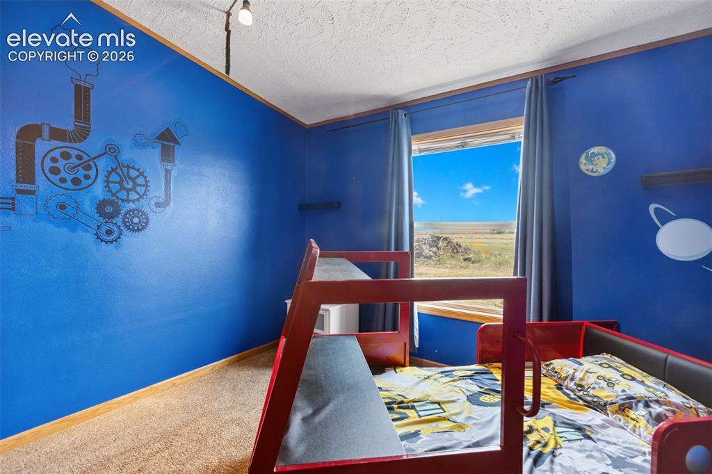 1350 South Calhan Highway Yoder, CO 80864 - Photo 41 of 45 3rd bdrm carpeted room with blue walls, a window featuring an expansive sky, and built-in shelving